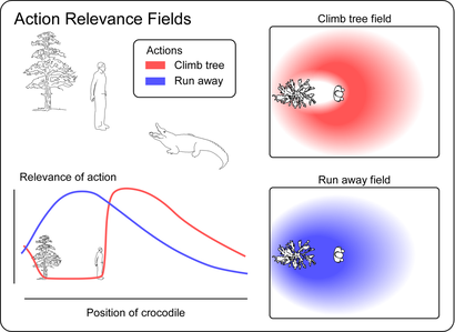 Action-Relevance fields (Bufacchi & Iannetti, 2018)